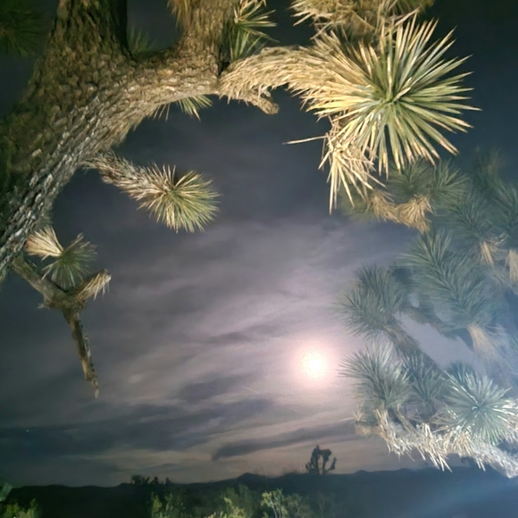 MAKE AN OFFER - Picture 5 of 12